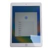 Apple iPad 5th Gen Wifi, A1822, Gold, 32GB (4)