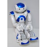 Faulty NAO evolution v5